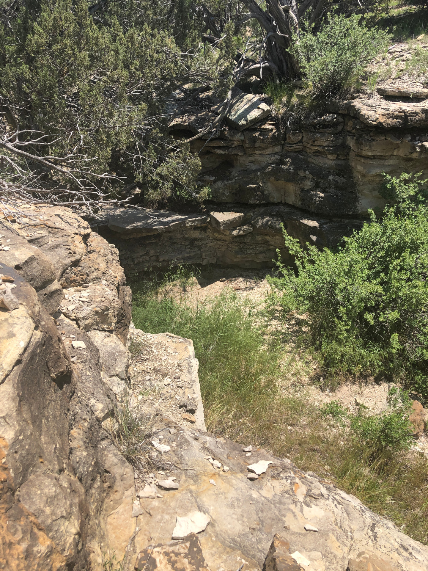 FutureSwimHole